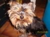 Cajoline